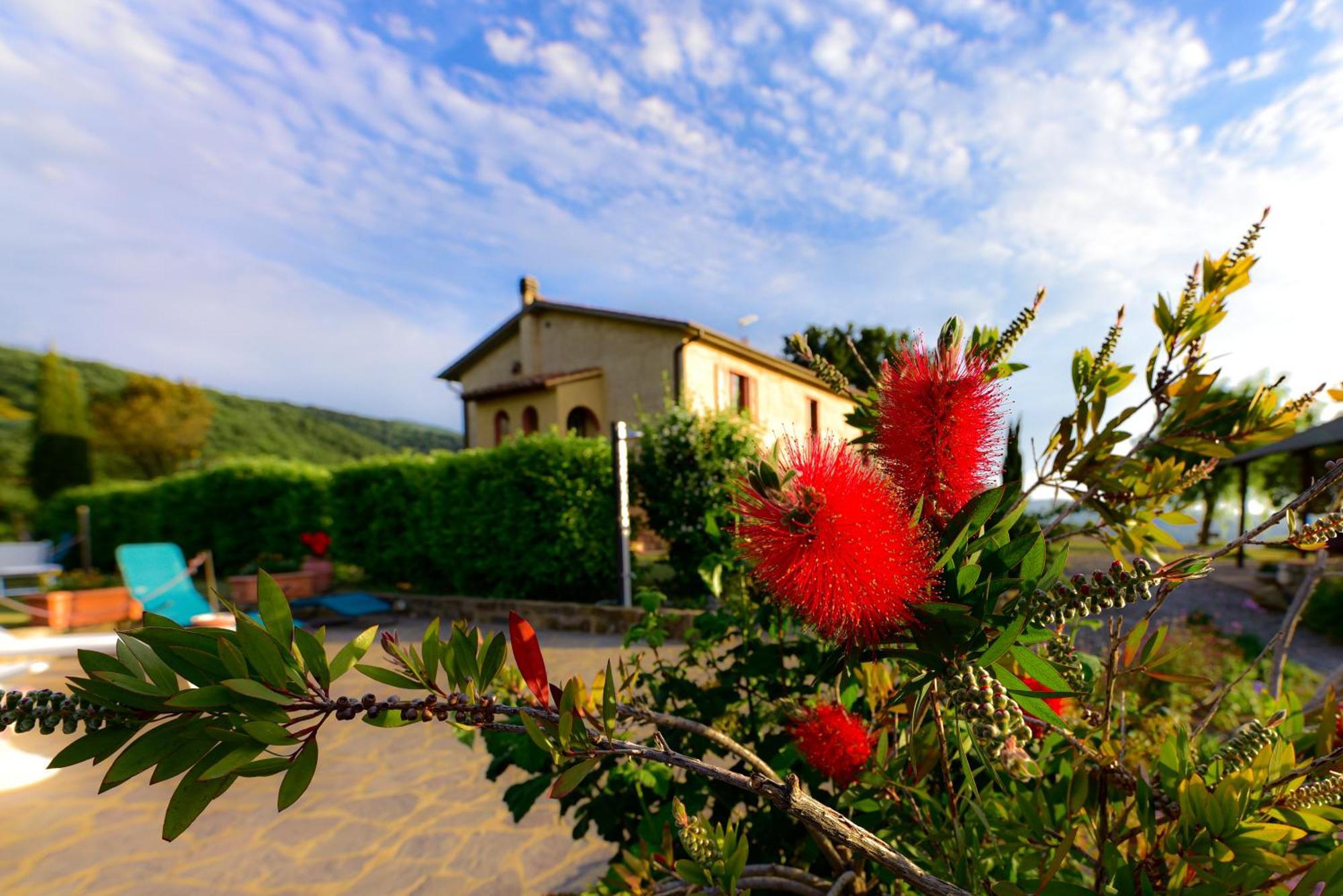 Agriturismo Le Casaline Seggiano Eksteriør billede