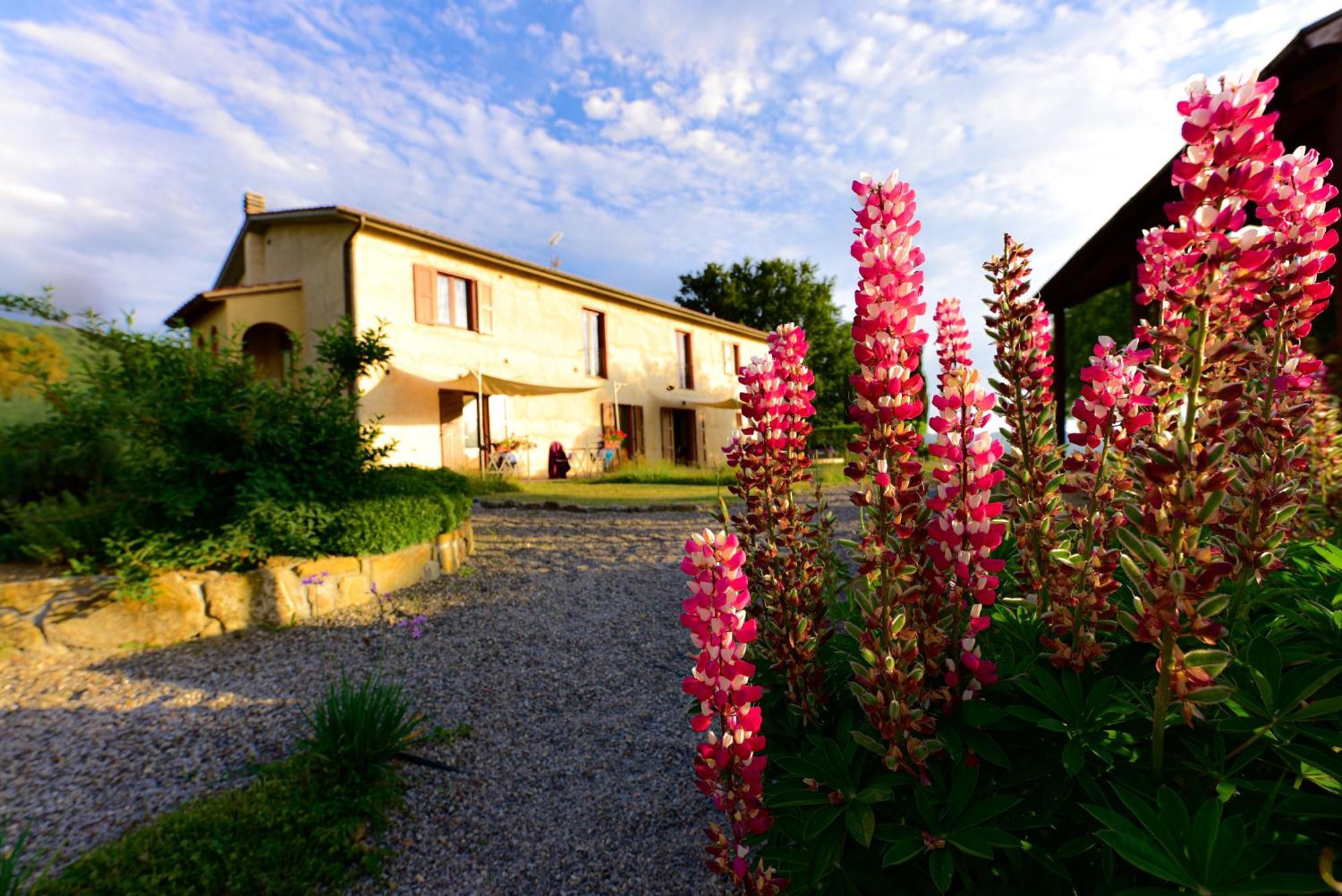 Agriturismo Le Casaline Seggiano Eksteriør billede