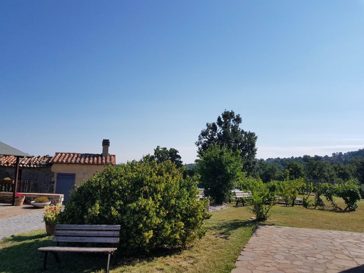 Agriturismo Le Casaline Seggiano Eksteriør billede