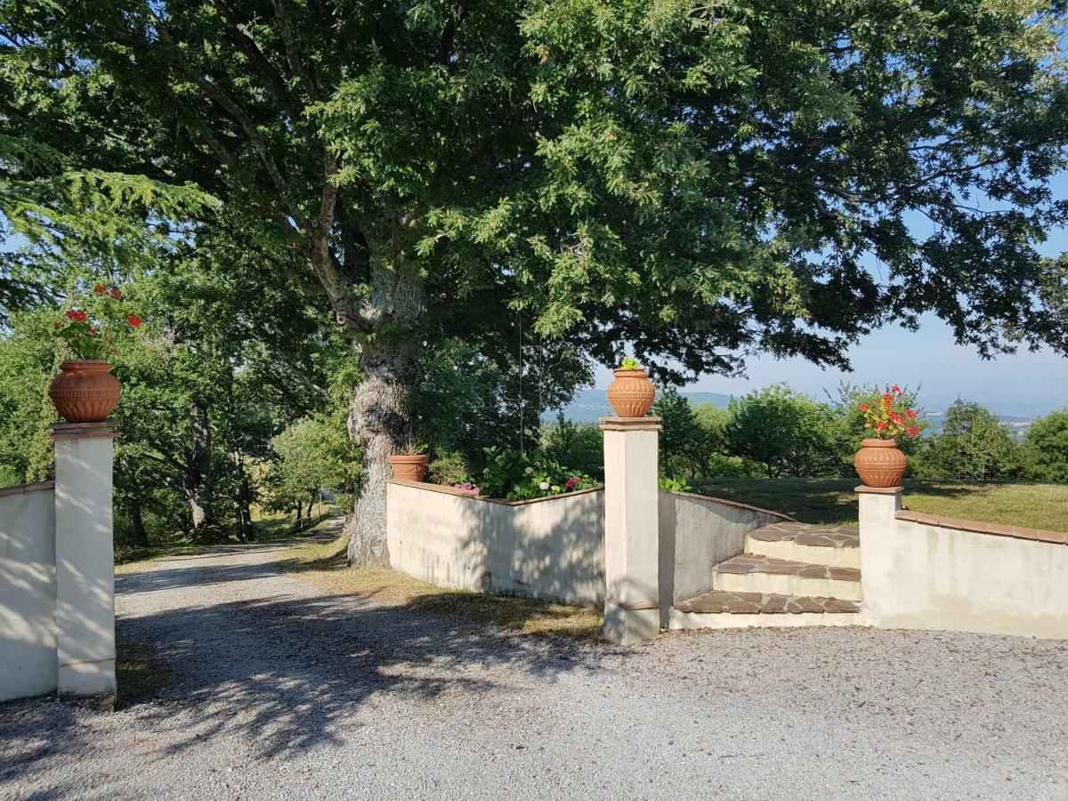 Agriturismo Le Casaline Seggiano Eksteriør billede
