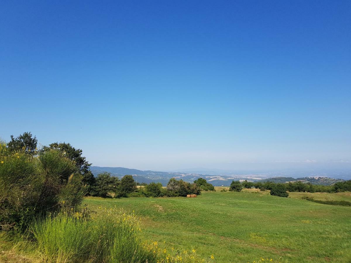 Agriturismo Le Casaline Seggiano Eksteriør billede