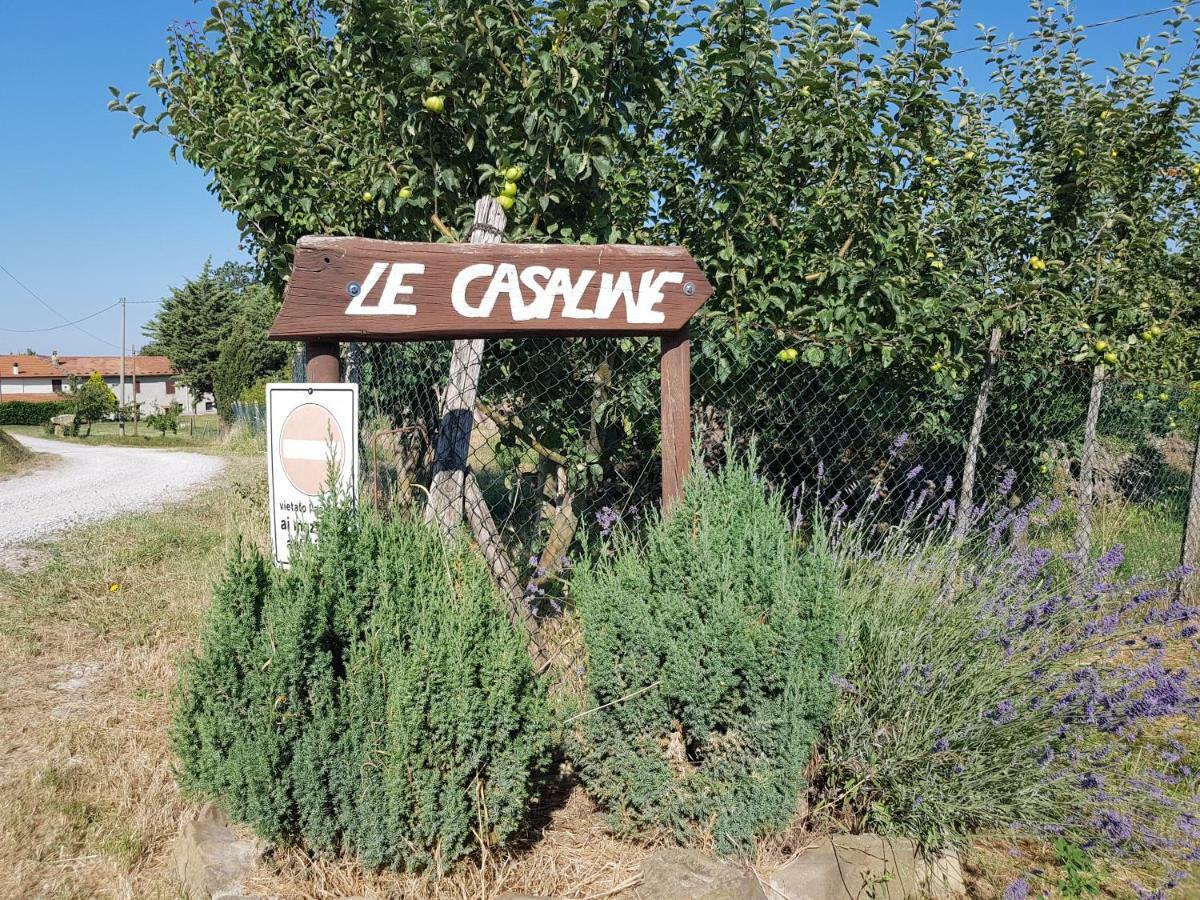 Agriturismo Le Casaline Seggiano Eksteriør billede